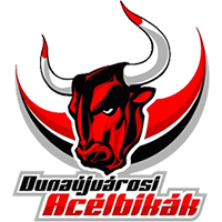 Dunaújvárosi Acélbikák