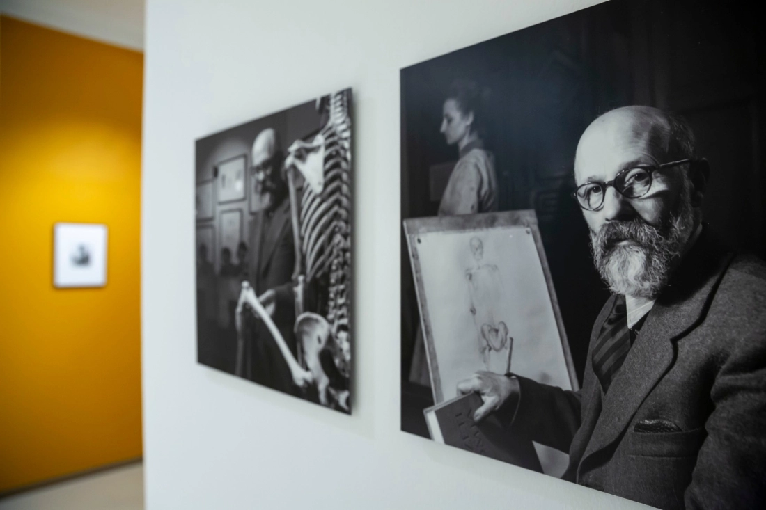 Múzeumi mesék | Szembefordulás - Közelképek 2.