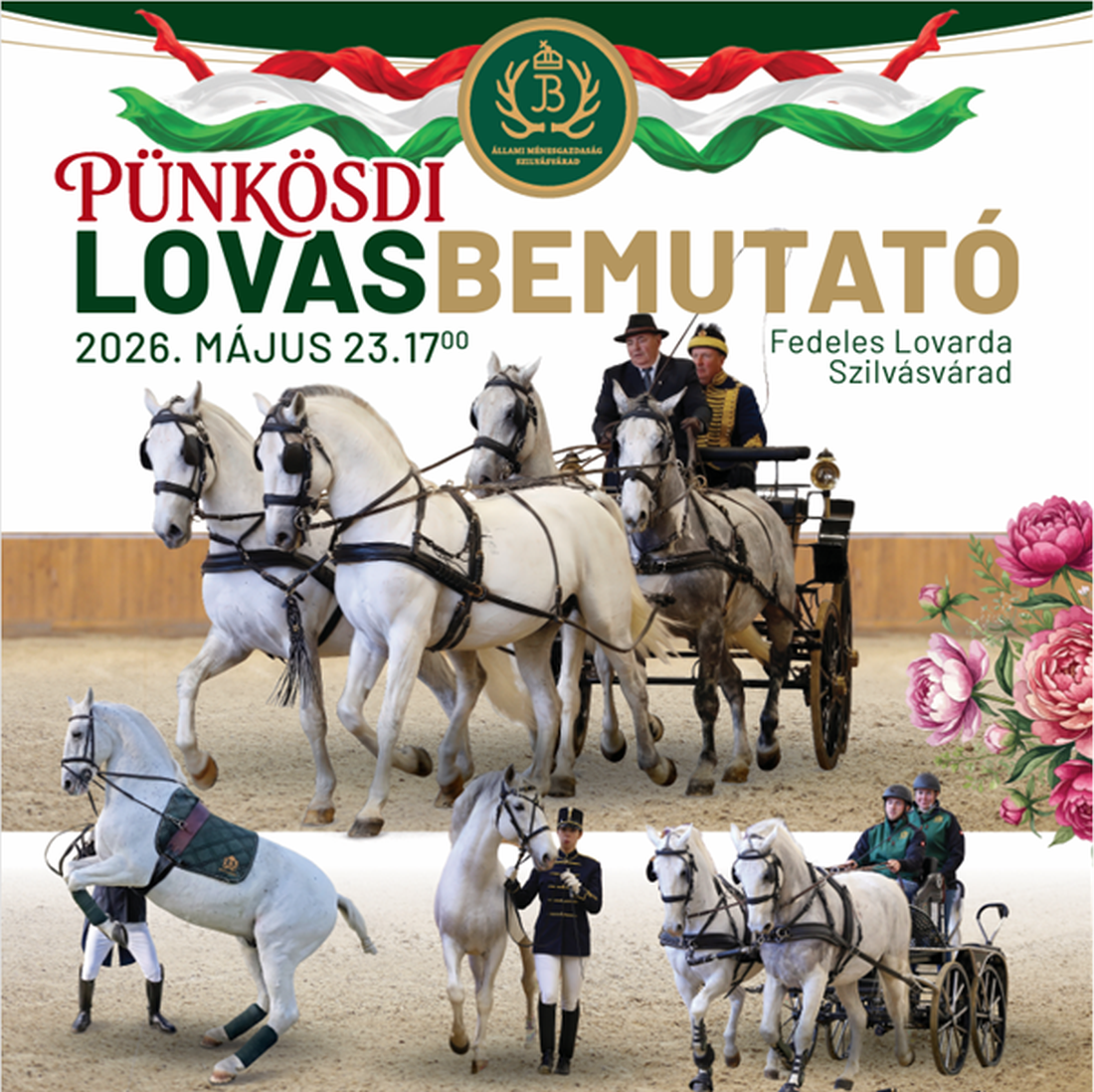 Link: Pünkösdi Lovasbemutató