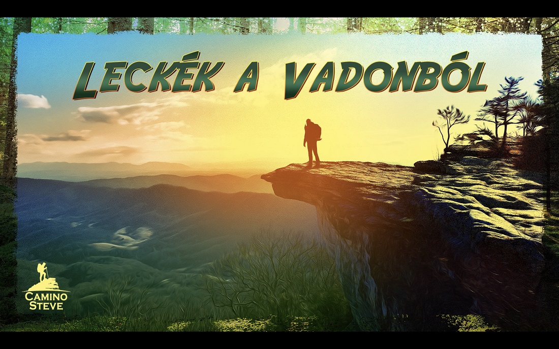 Leckék a vadonból