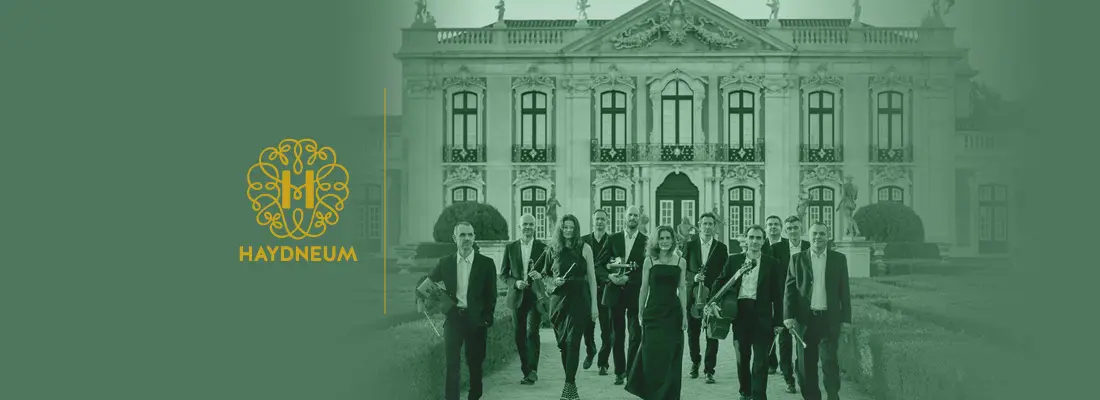 „Gipsy Baroque”
Il Suonar Parlante