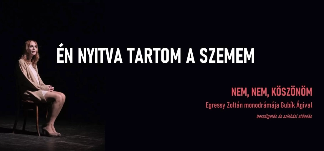 Link: Egressy Zoltán: Nem, nem, köszönöm
