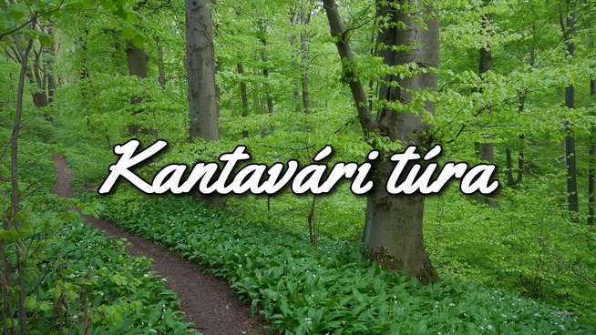 Link: Vadvirágos Kantavári túra