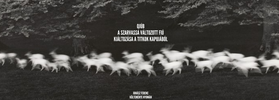 Vecsei H. Miklós és a QJÚB: Szarvassá változott fiú kiáltozása a titkok kapujából