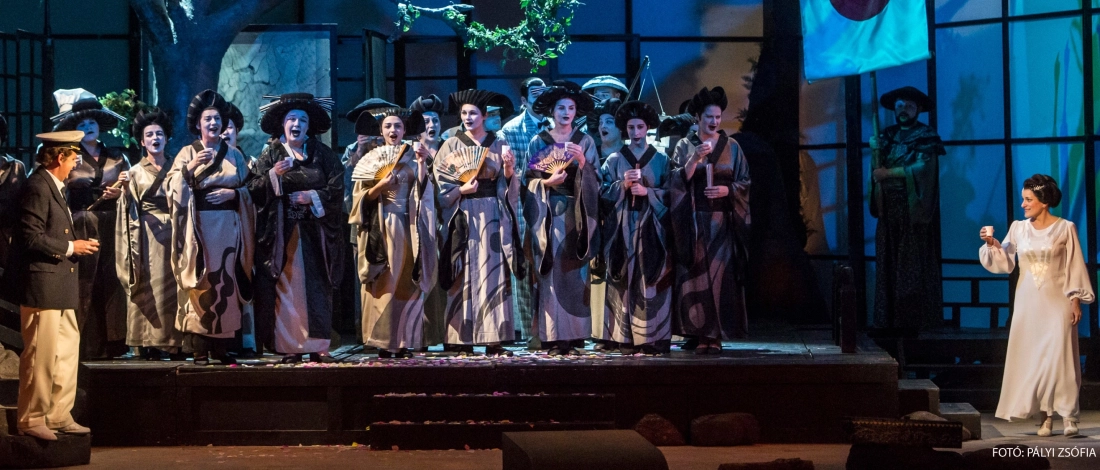 Link: Pillangókisasszony