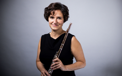 Link: Budapesti Fesztiválzenekar