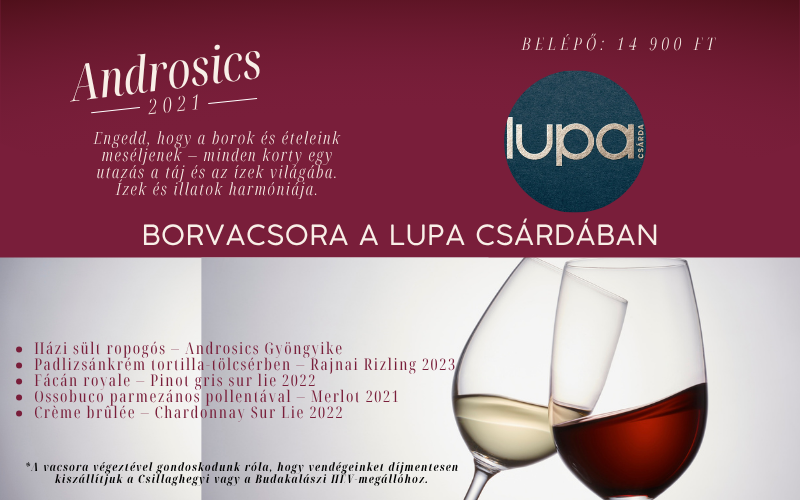 Borvacsora az Androsics pincészet boraival