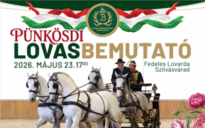 Link: Pünkösdi Lovasbemutató